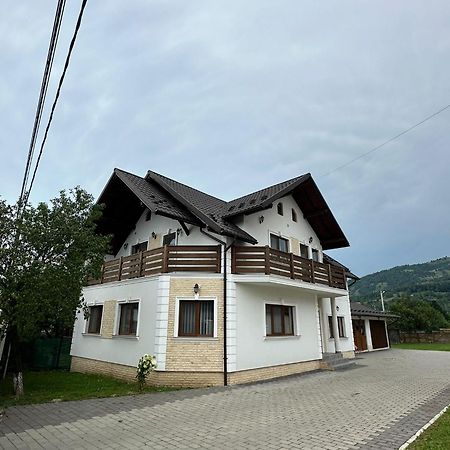 Casa Dacului Hotel Petrova Buitenkant foto