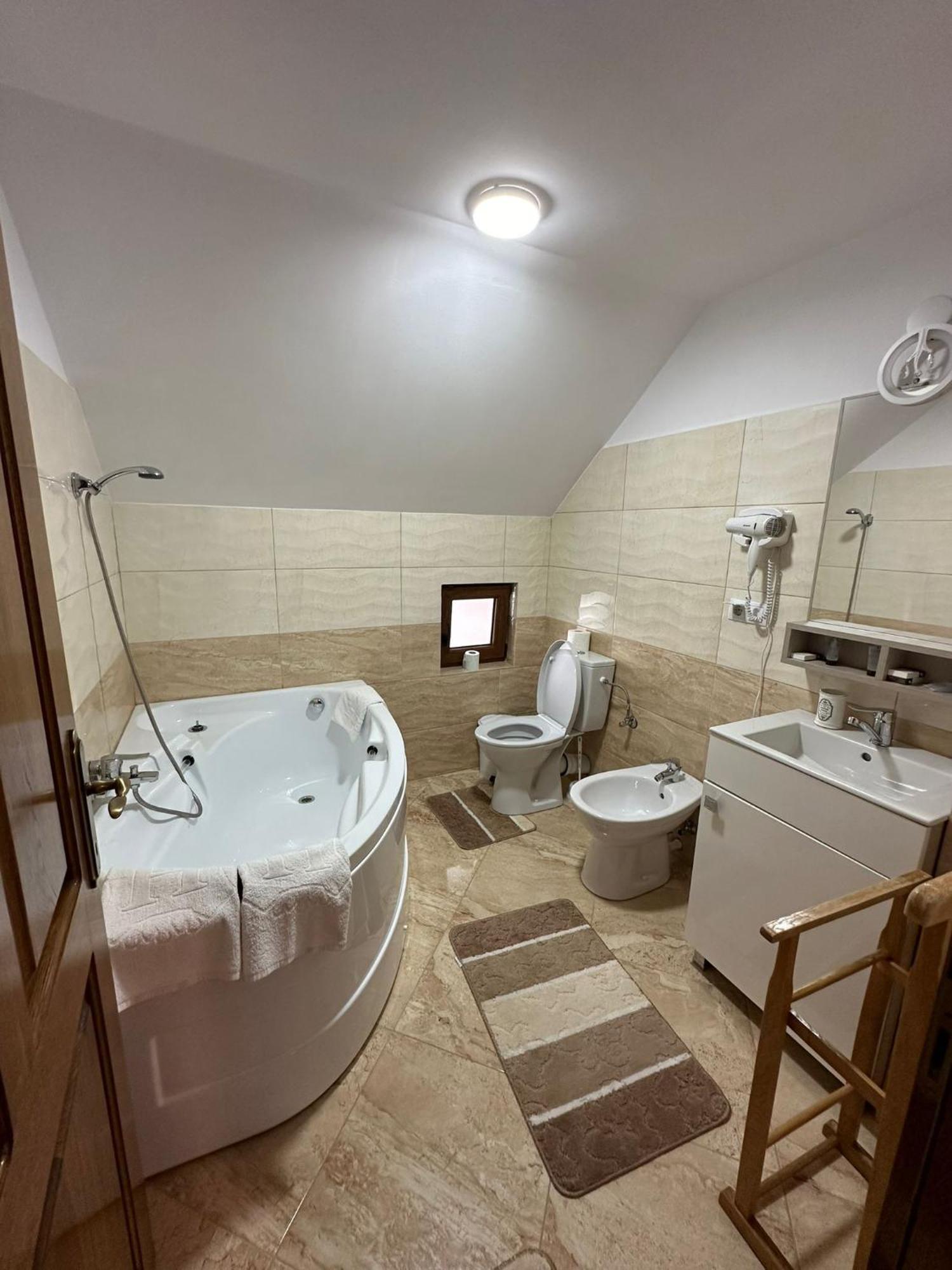 Casa Dacului Hotel Petrova Buitenkant foto
