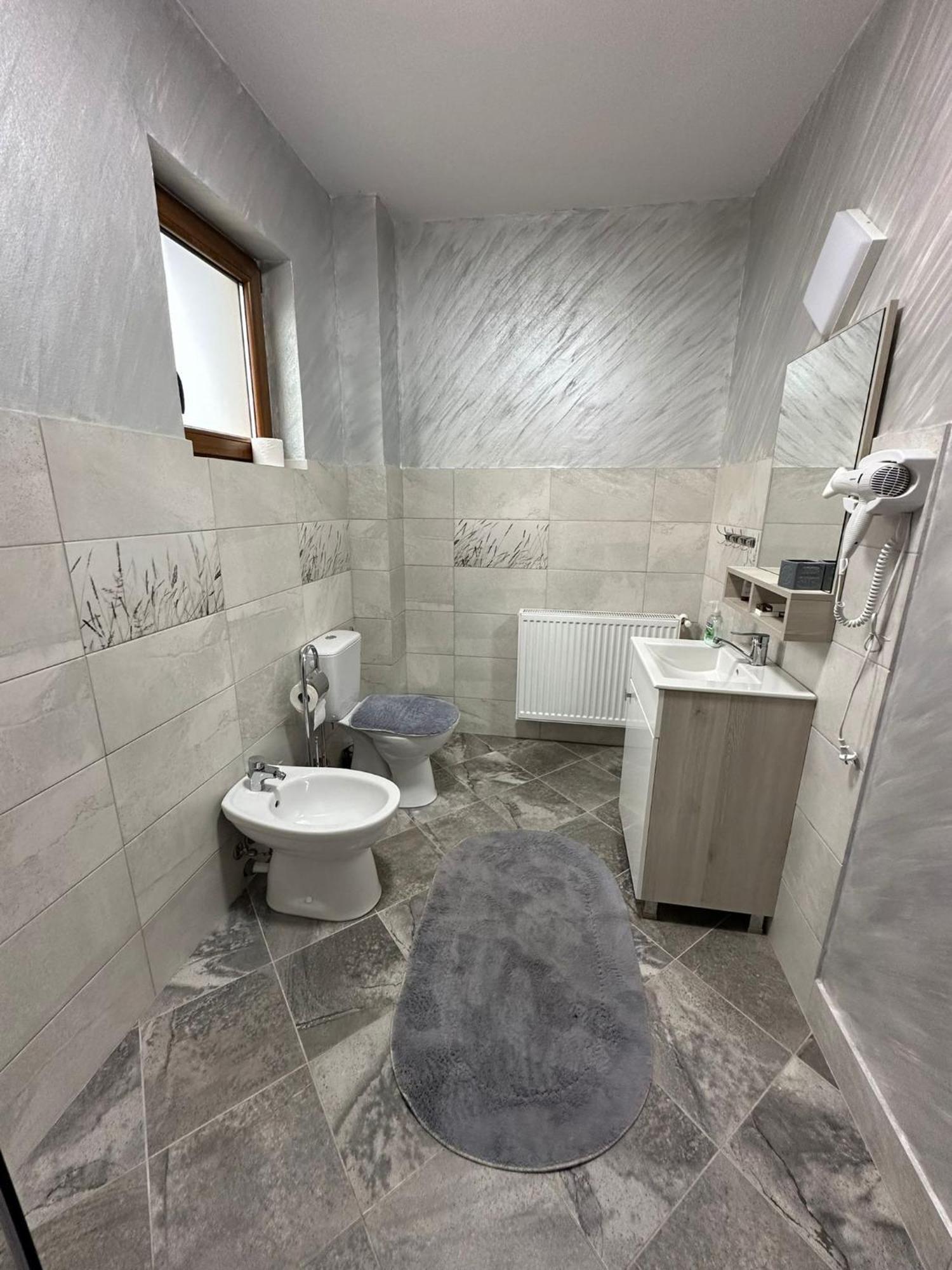 Casa Dacului Hotel Petrova Buitenkant foto